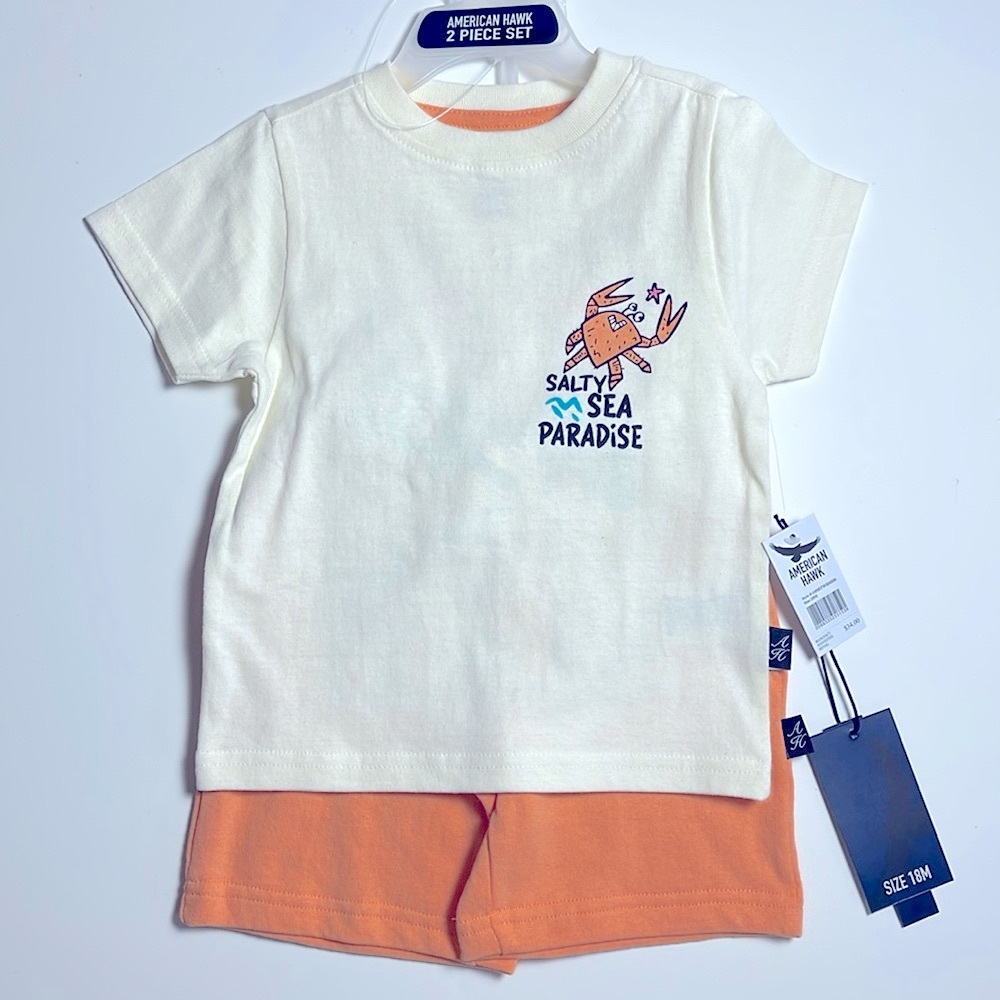 2pc boys knit set with fun summer art, jersey tee and fleece short, NWT.